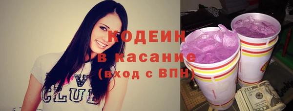 мдпв Каменногорск