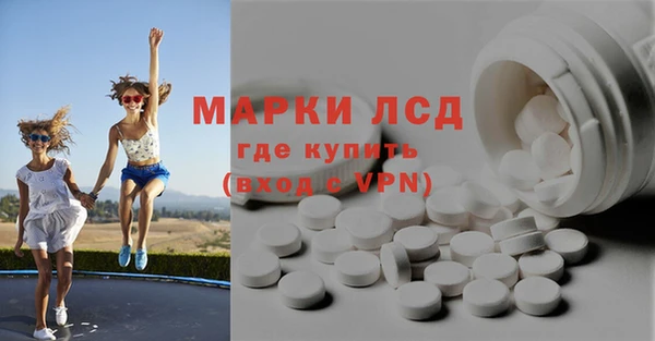 мдпв Каменногорск