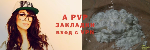 мдпв Каменногорск