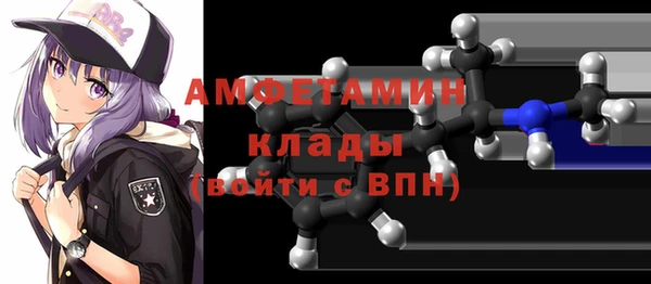 мдпв Каменногорск