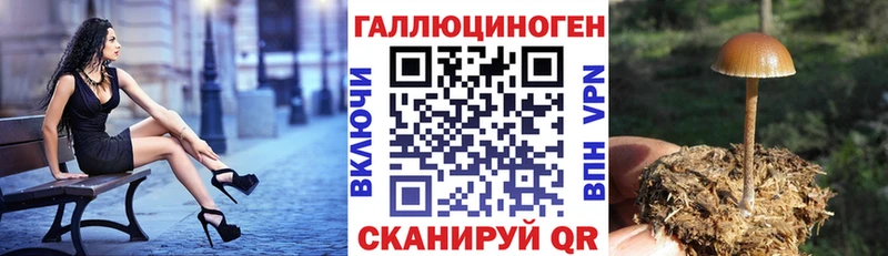 Псилоцибиновые грибы мухоморы  Купить  Медынь 
